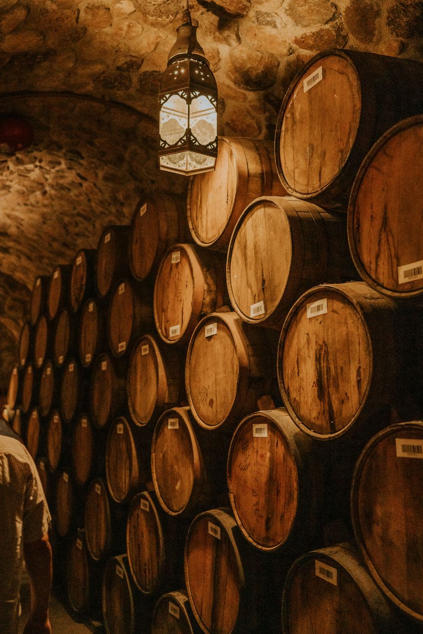 Gastronomy wine cellar tasting